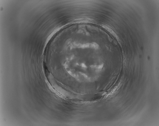 X0000073720941200608241228