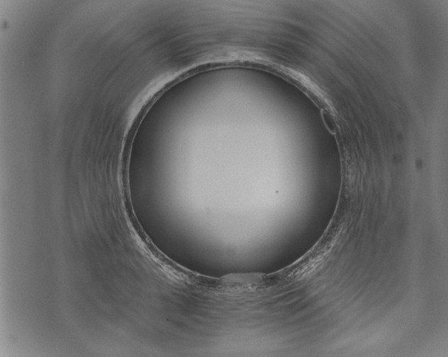 X0000073720943200608241228