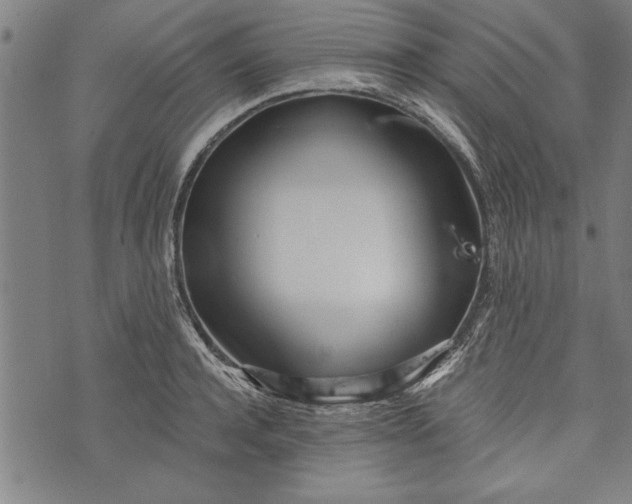 X0000073720944200608241228