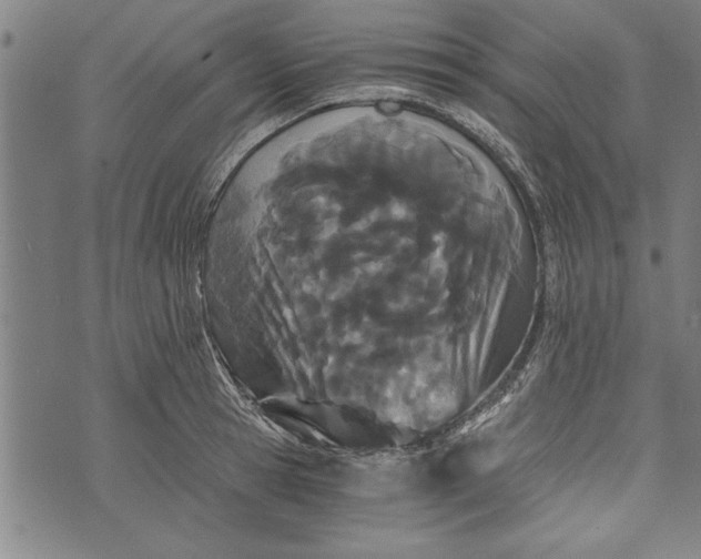 X0000073720945200608241228