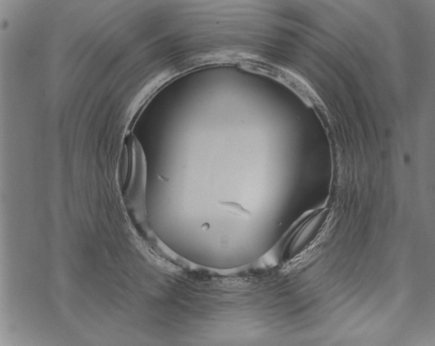 X0000073720946200608241228