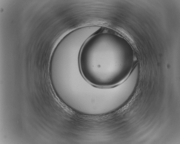 X0000073720948200608241228