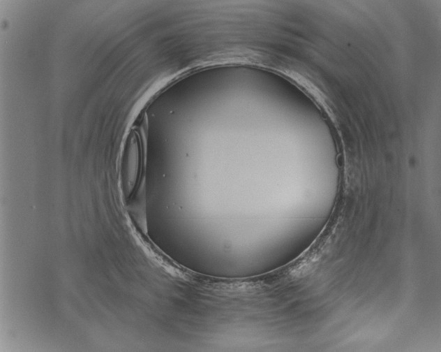 X0000073720949200608241228