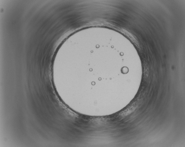 X0000073720950200608241228