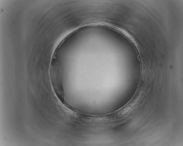 X0000073720951200608241228