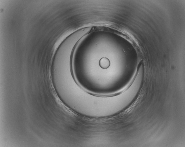 X0000073720952200608241228