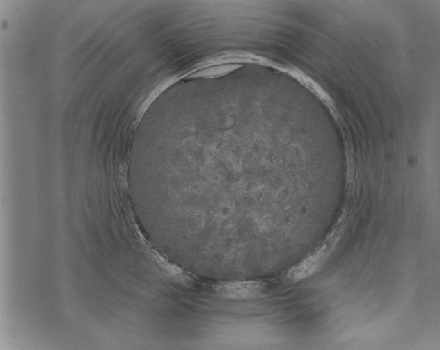 X0000073720953200608241228