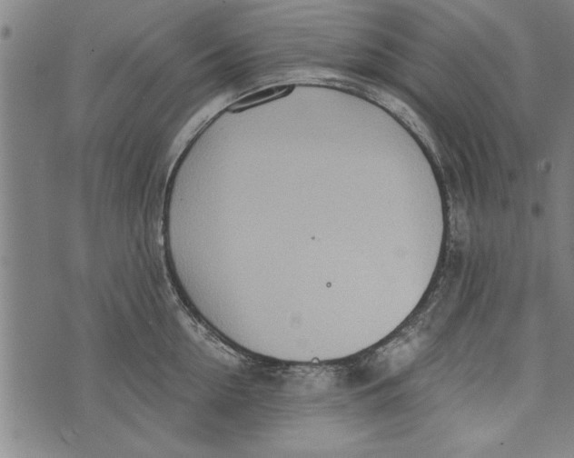 X0000073720954200608241228