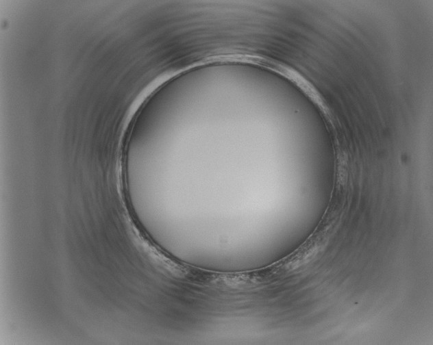 X0000073720955200608241228