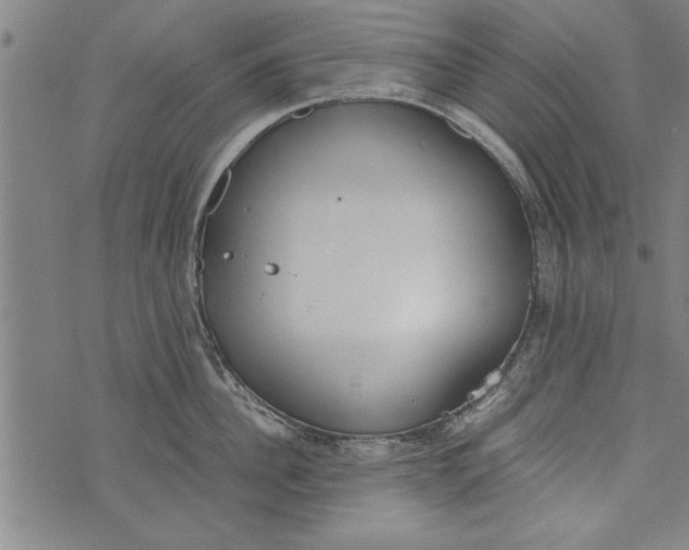 X0000073720956200608241229