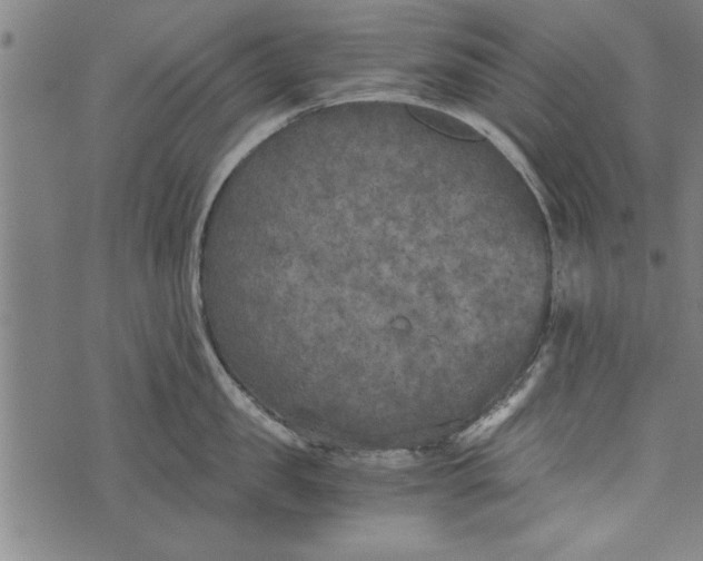 X0000073720957200608241229