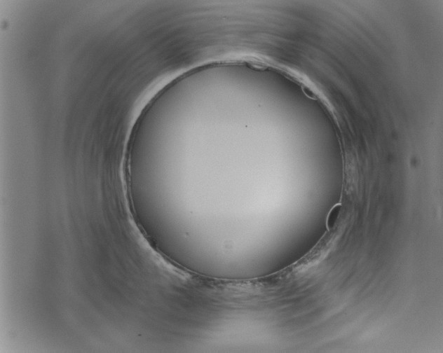 X0000073720959200608241229