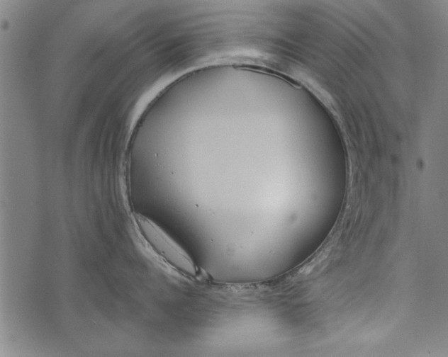 X0000073720960200608241229