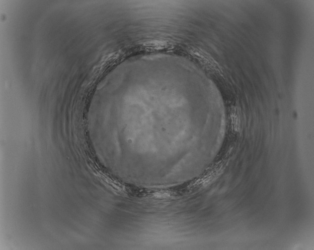 X0000073720961200608241228