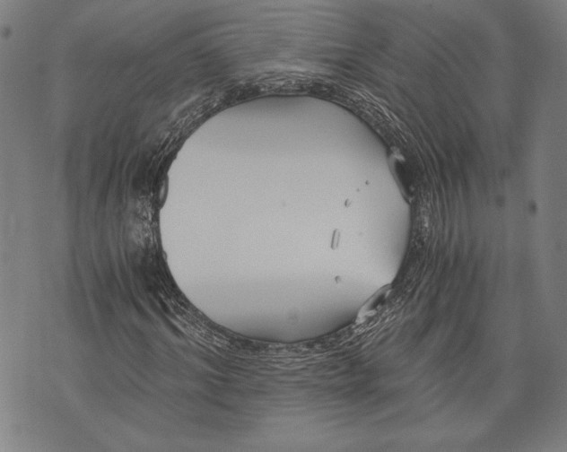 X0000073720964200608241228