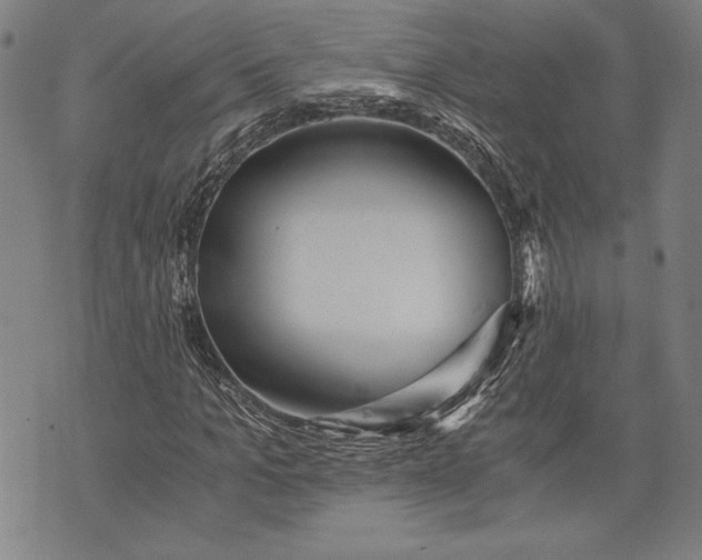 X0000073720965200608241228