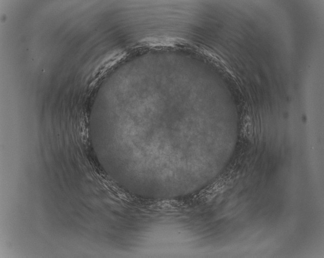 X0000073720966200608241228