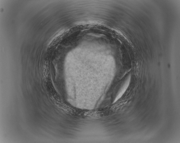 X0000073720967200608241228