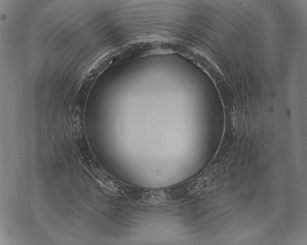 X0000073720968200608241228