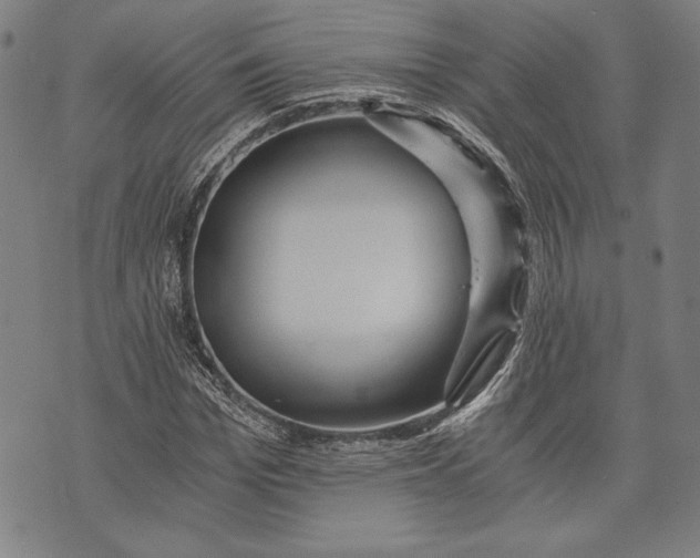 X0000073720969200608241228