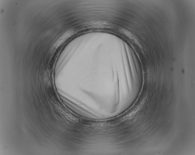 X0000073720970200608241228