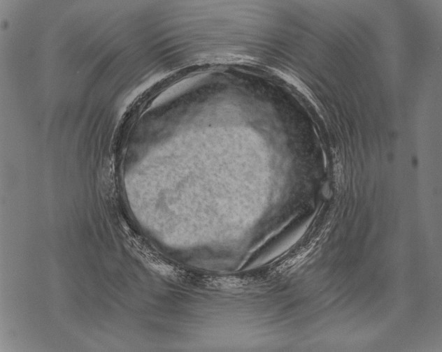 X0000073720971200608241228