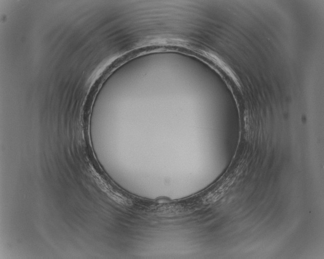 X0000073720972200608241228