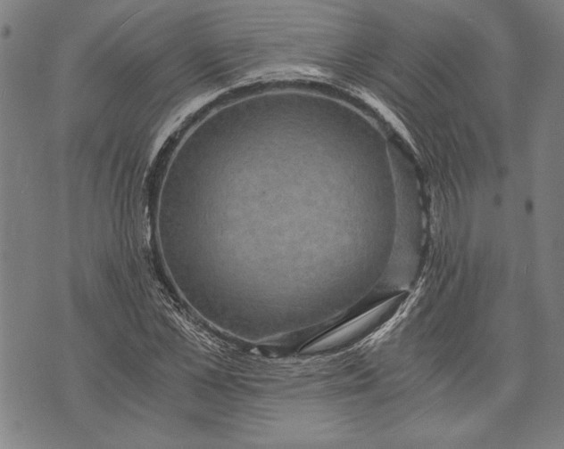 X0000073720973200608241228