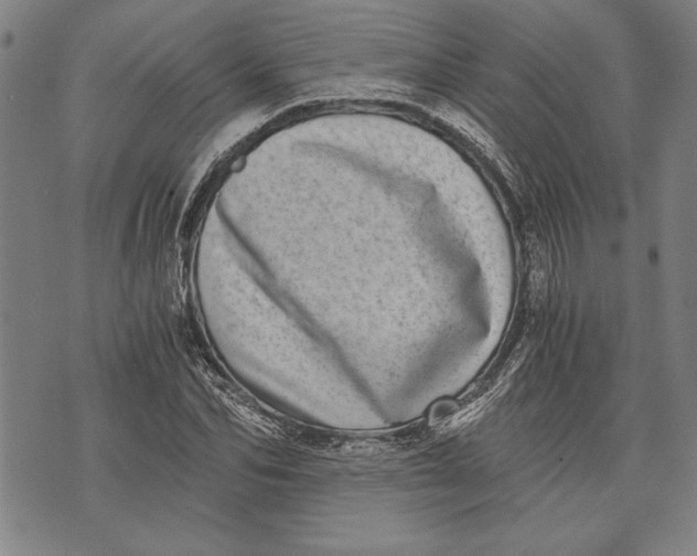 X0000073720974200608241228