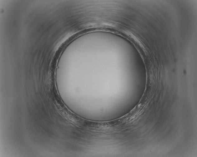 X0000073720975200608241228