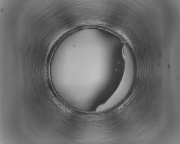 X0000073720976200608241228