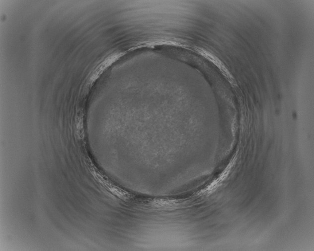 X0000073720977200608241228