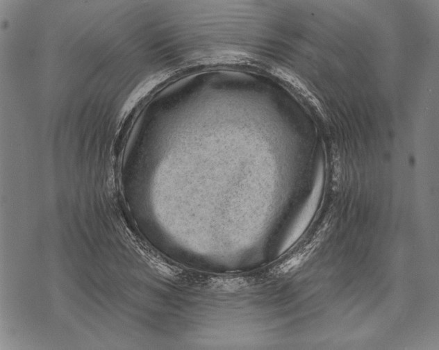 X0000073720978200608241228