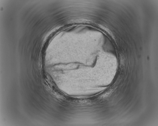 X0000073720979200608241228