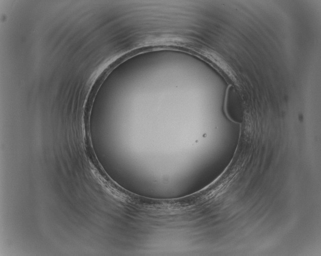 X0000073720980200608241227