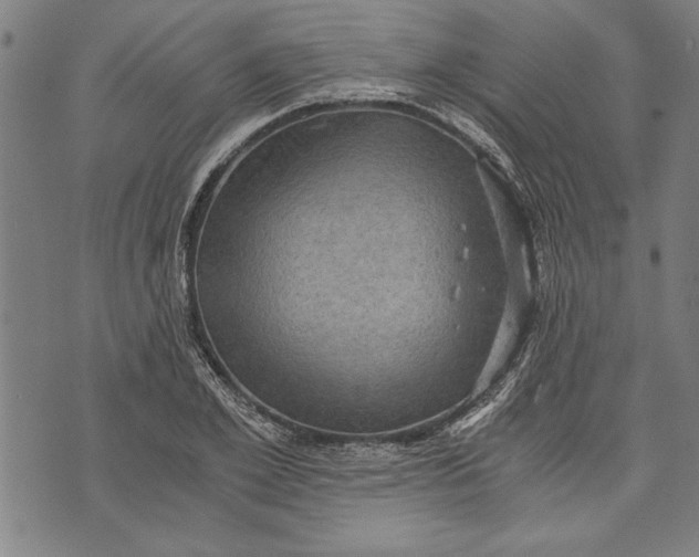 X0000073720981200608241227