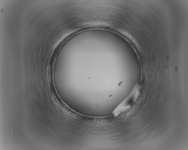 X0000073720983200608241227