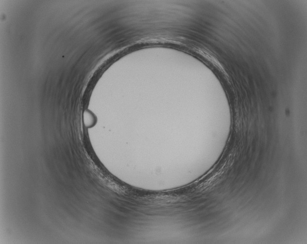 X0000073720984200608241227