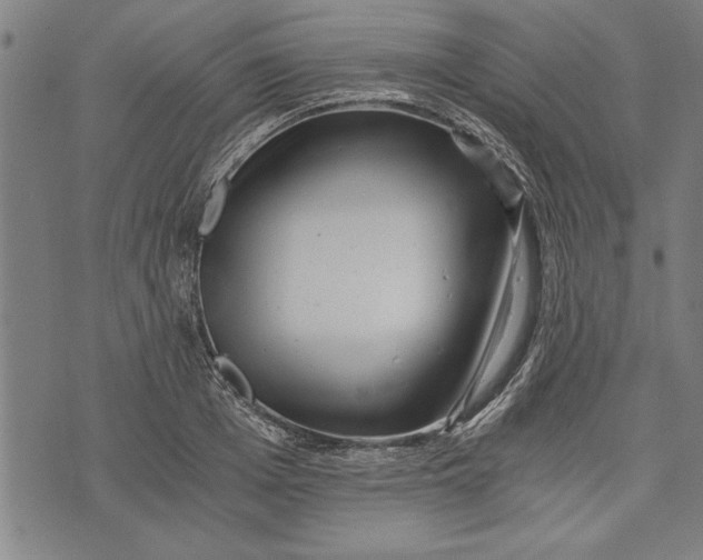 X0000073720985200608241227