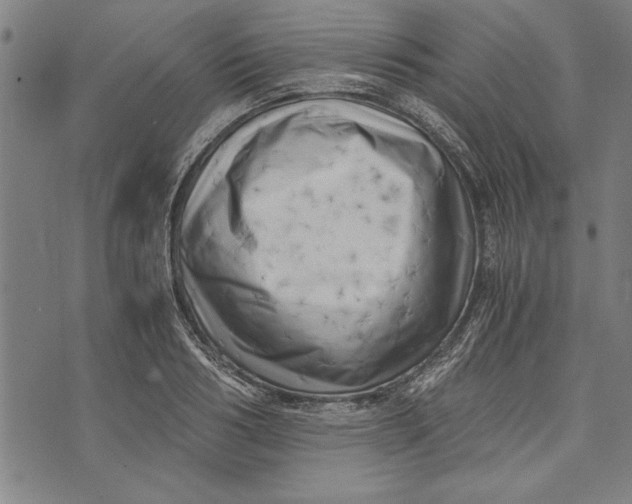 X0000073720986200608241227