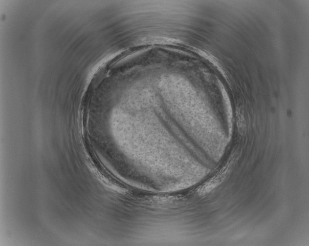 X0000073720987200608241227