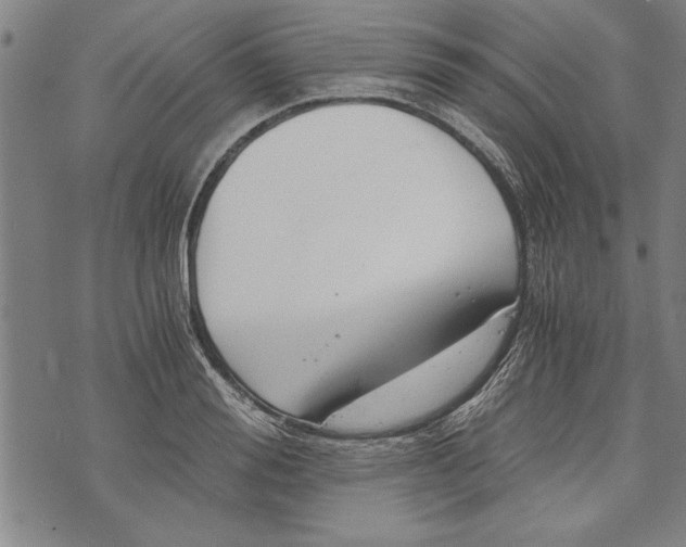 X0000073720988200608241227