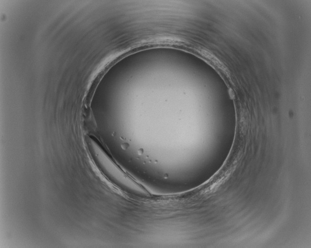 X0000073720989200608241227