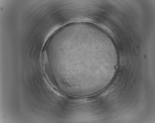 X0000073720990200608241227