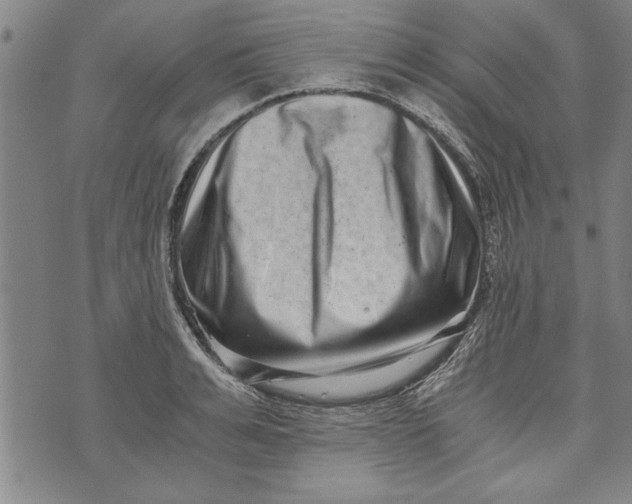 X0000073720991200608241227