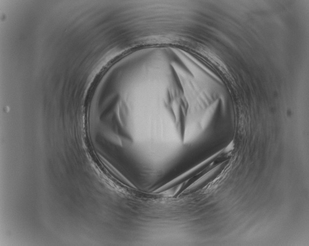 X0000073720992200608241227