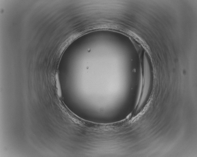 X0000073720993200608241227