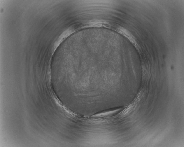 X0000073720994200608241227