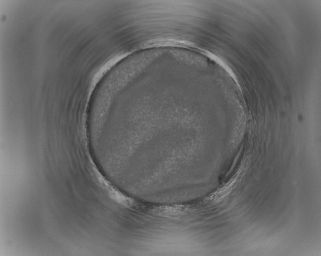 X0000073720995200608241227