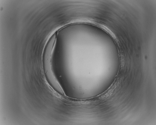 X0000073720996200608241227